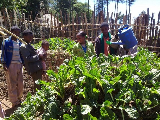 2 Verbesserung der Existenzgrundlagen von Frauen ergebnis