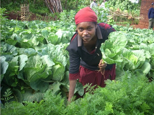 4 Oekologische Landwirtschaft ergebnis