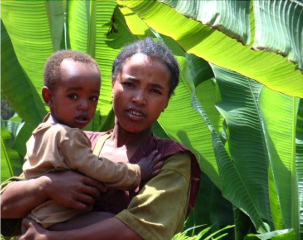 5 Ziel Ernaehrung Einkommen Gleichberechtigung ergebnis